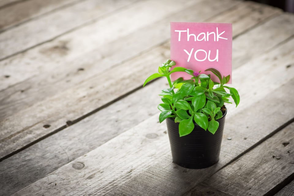 Thank you, Plant, Letters, Podcast, MundoNow