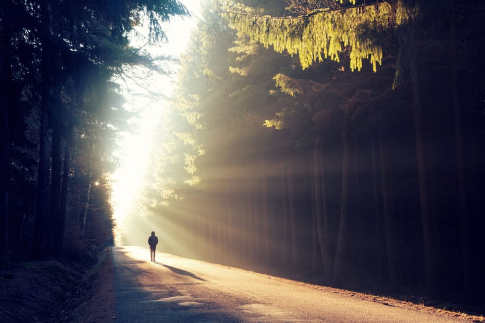 Man walking in the woods, Chippewa, Sendero, MundoNow, Podcast
