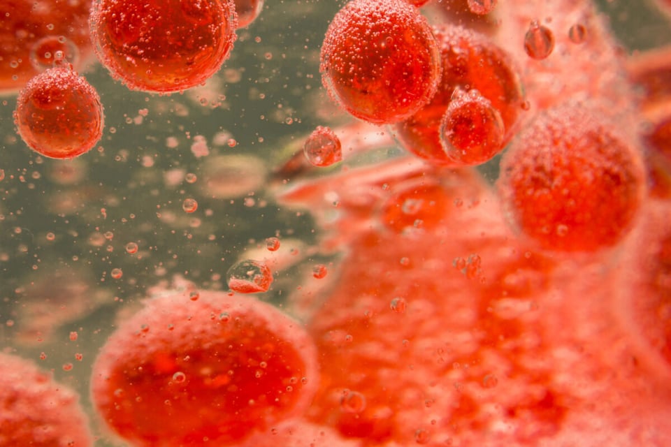 Bloodstream, Hematosites, Blood, MundoNow, Podcast
