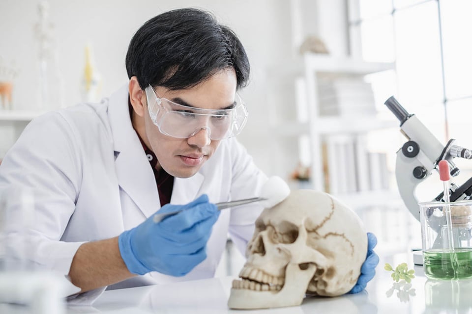 Qué es una autopsia, científico, laboratorio, cráneo, MundoNOW