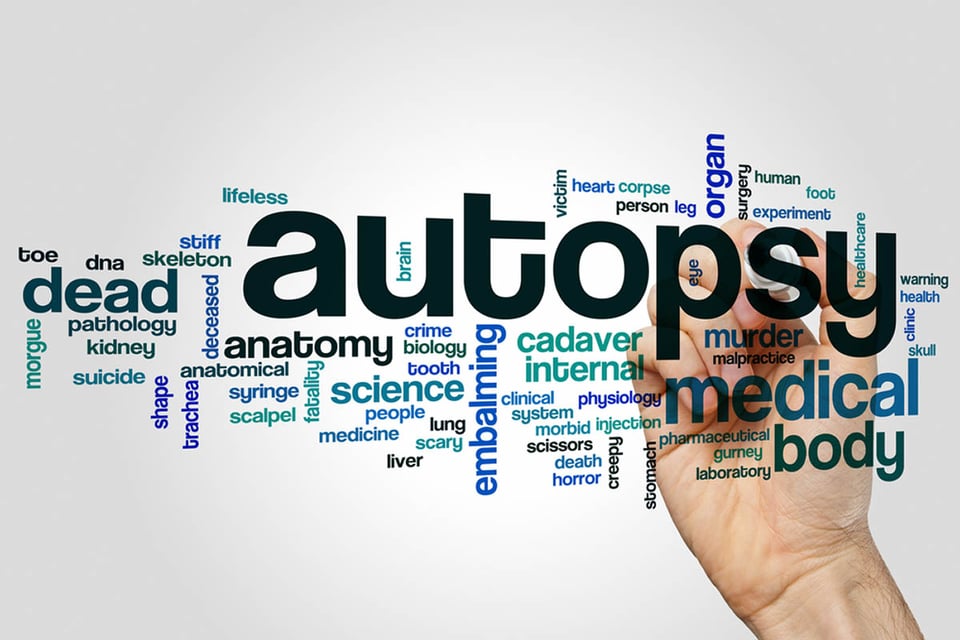 Autopsia, nube de palabras, concepto, crímenes, MundoNOW