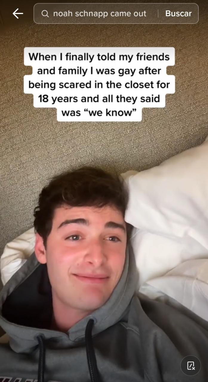 Noah Schnapp came out of the closet with a video on Tik Tok