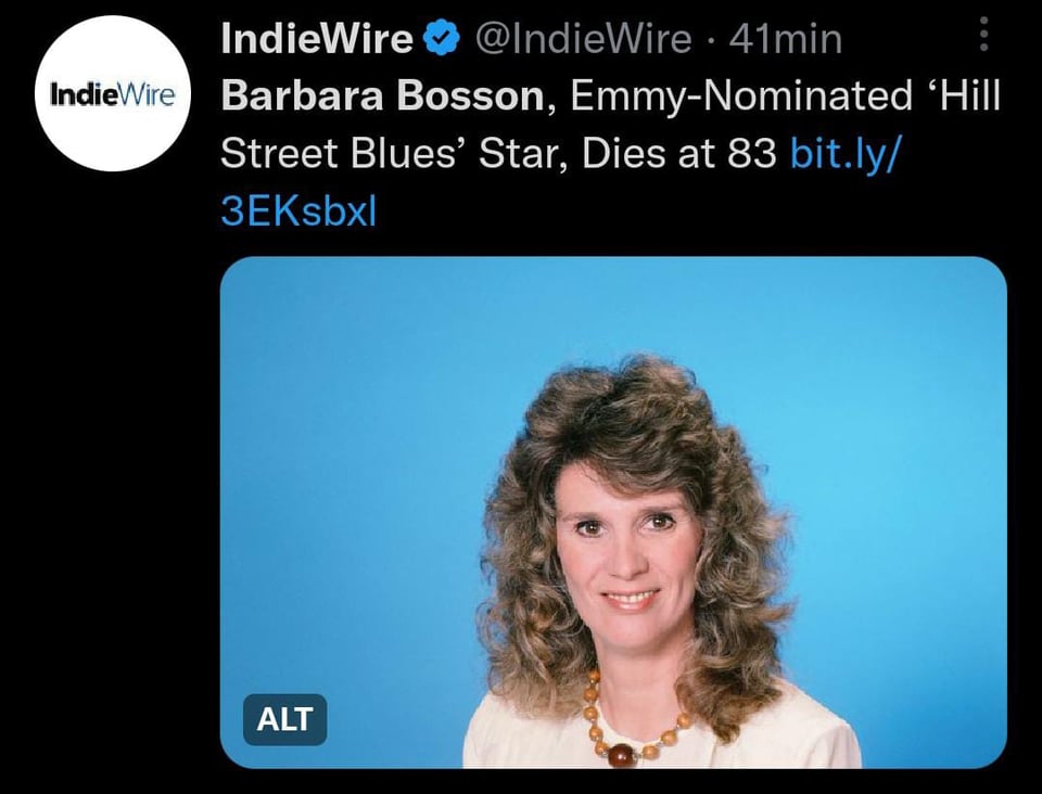 Fue nominada cinco veces al premio Emmy por su trabajo en 'Hill Street Blues'