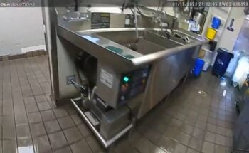 Descubren ratas Taco Bell: ¿Pidió apoyo de las autoridades?
