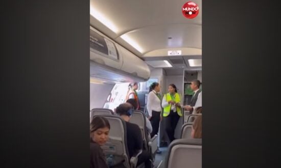 bajada, aeroplano, perro, apoyo, emocional