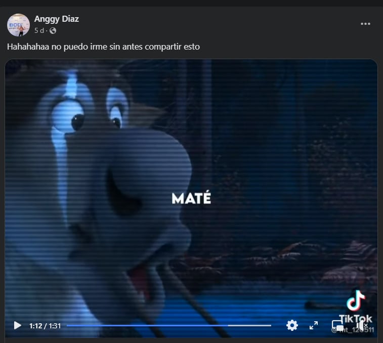 Did Anggy give hints of violence in his network profile?