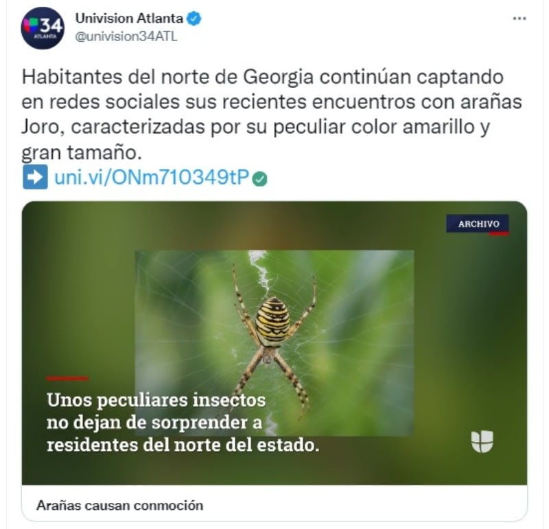 They use their nets as parachutes
