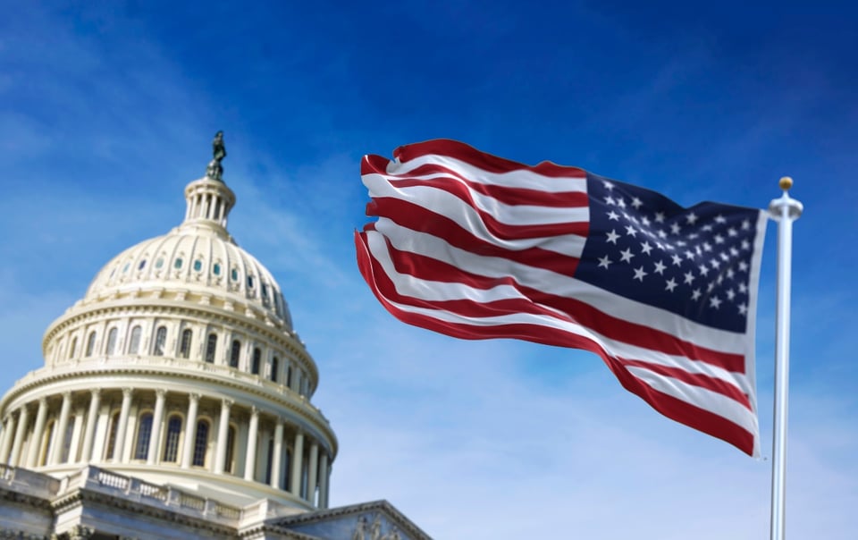 flag, u.s. capitol, arrest, immigration