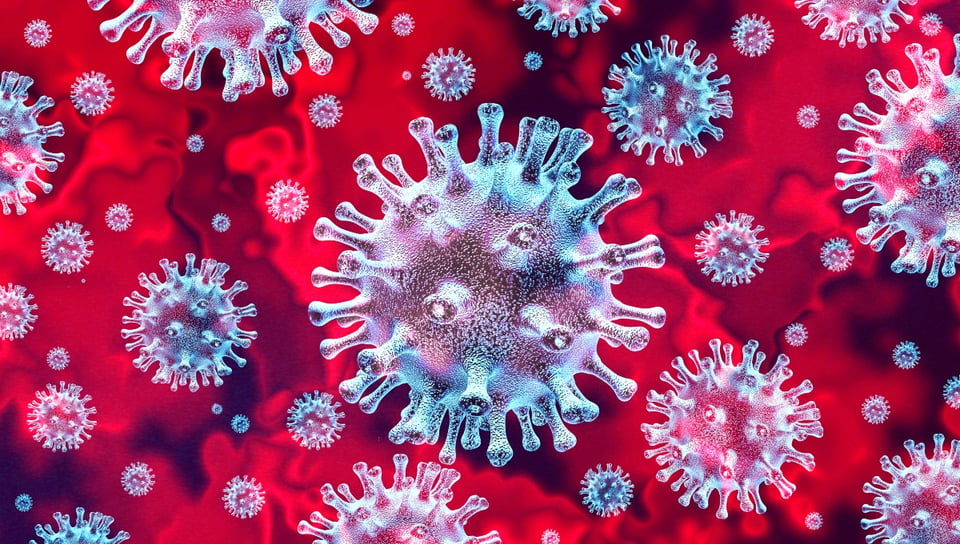disease, virus, dose, vaccines, remedy