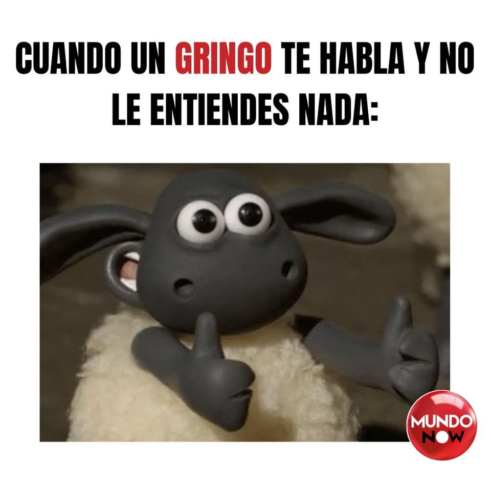 sheep, borrego, oveja, hablar, idioma