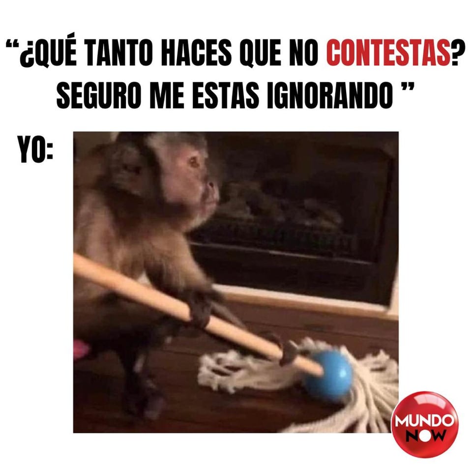 Mono, contestación, ignorar, seguro, limpiar