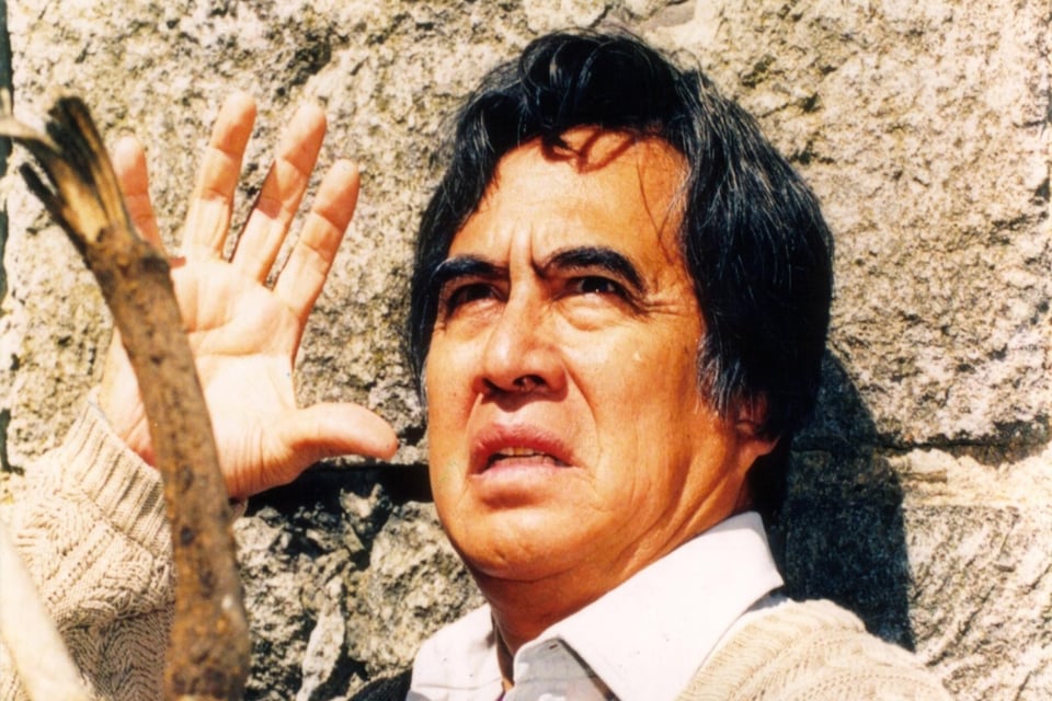 Veracruz, Mexico City, INBA, trajectory, MundoNOW, Ernesto Gómez Cruz death
