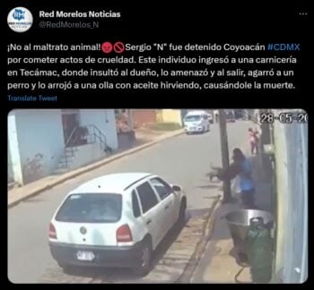 Detienen a Sergio "N", autor del asesinato
