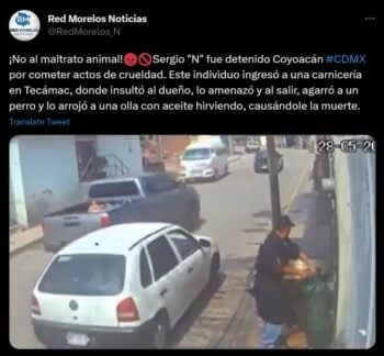 ¿Cuál puede ser su condena?