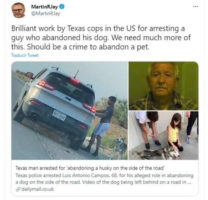 abandoned dog