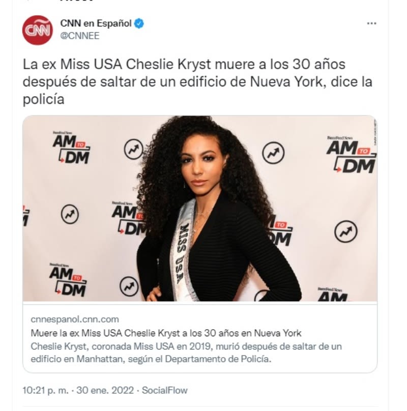 Reason for suicide Cheslie Kryst: Did you have a reason to commit suicide?