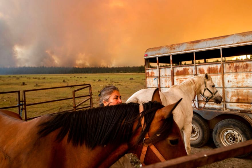 “Firefighters fight for the town of Greenville"