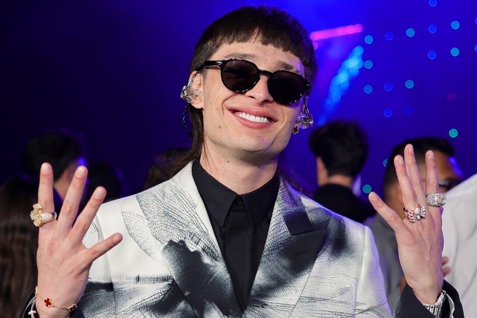 Fama Internacional, Individualidad Artística, Finn Wolfhard, Stranger Things