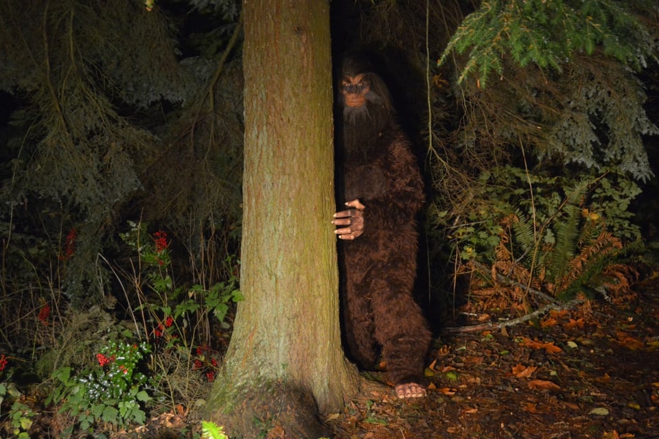 Mysterious creatures, Urban legends, Cryptics, Wild nature, MundoNOW