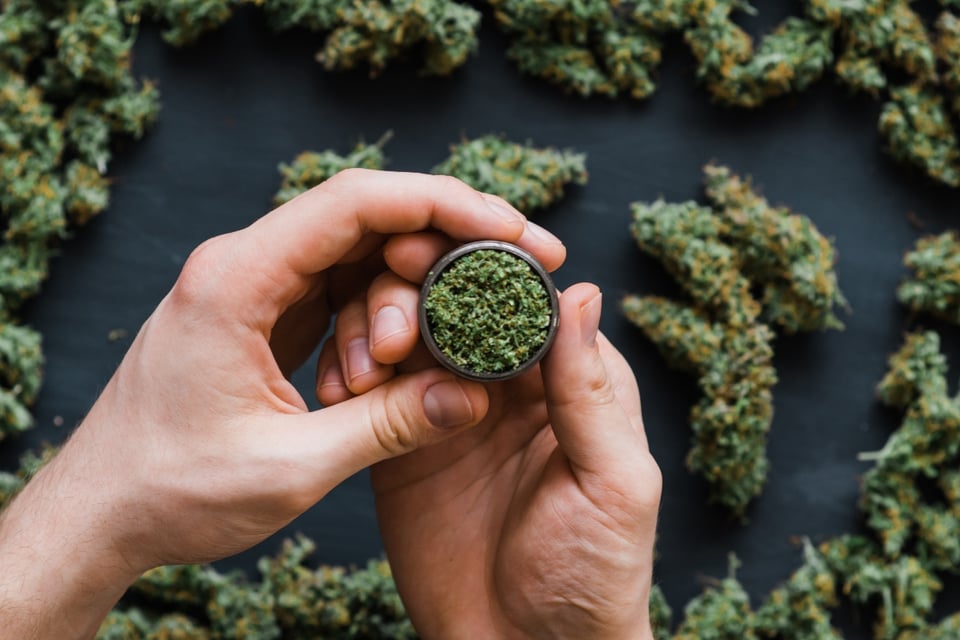 cannabis products for sex, benefits, cream, satisfaction, MundoNOW