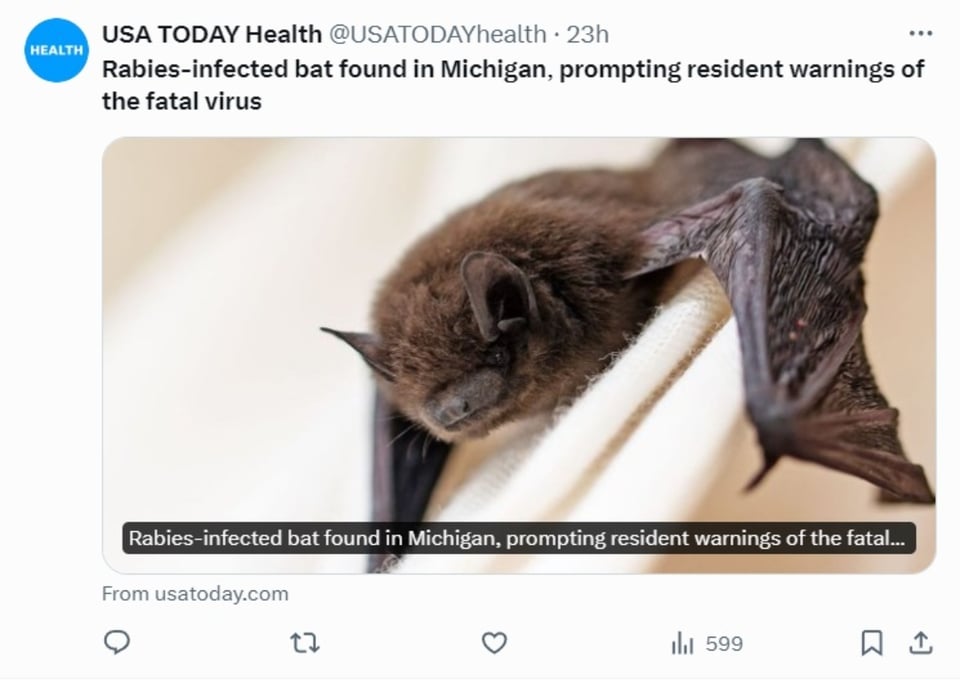 epidemiology, health, Ailen Velázquez, coordinator, Michigan bat