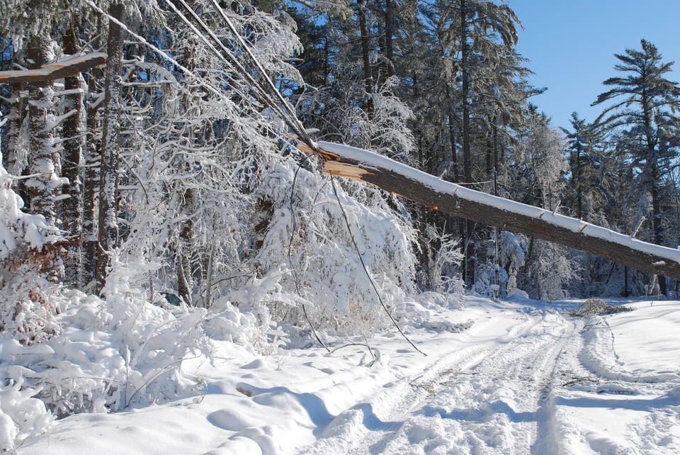 Nieve, clima invernal, afectados, EEUU, MundoNOW