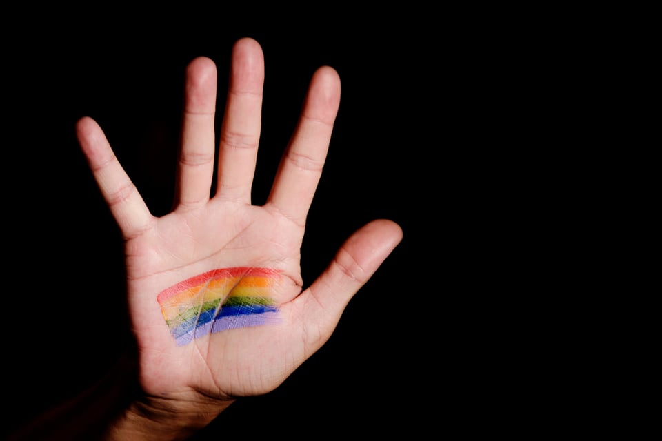 What is the use of the term queer today?