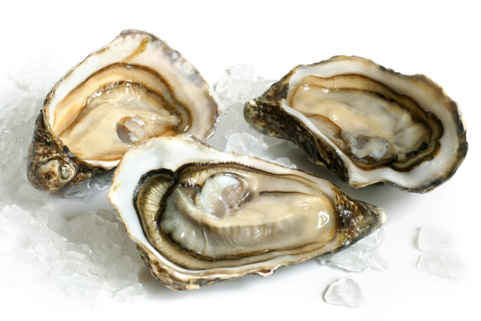 Ostiones, platillos, gourmet, playa, MundoNOW