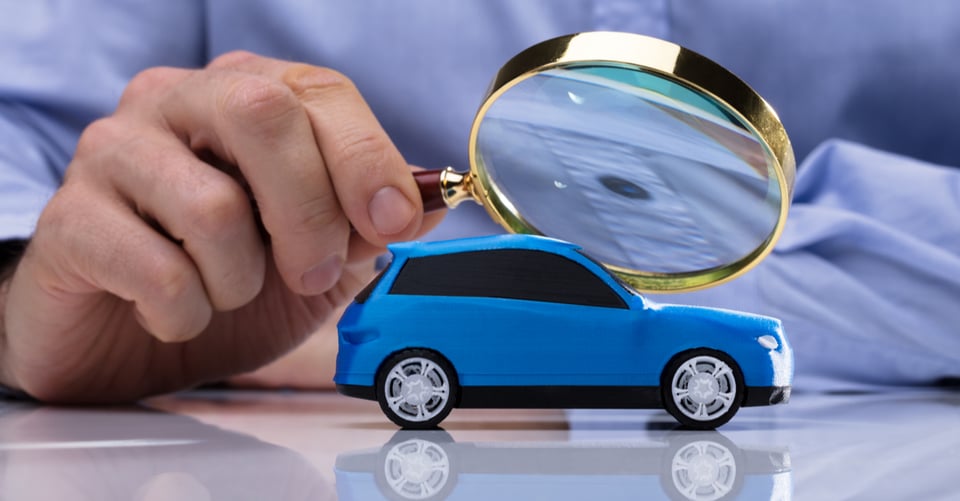 Lupa encima de un carro de juguete
