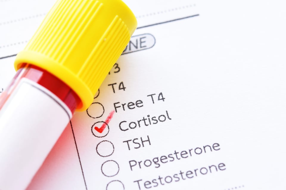Cómo influye el estrés en la grasa abdominal: El cortisol Cómo influye el estrés en la grasa abdominal: El cortisol