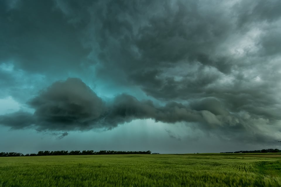 Idalia, Carolina del Sur, Georgia, Florida, afectados,