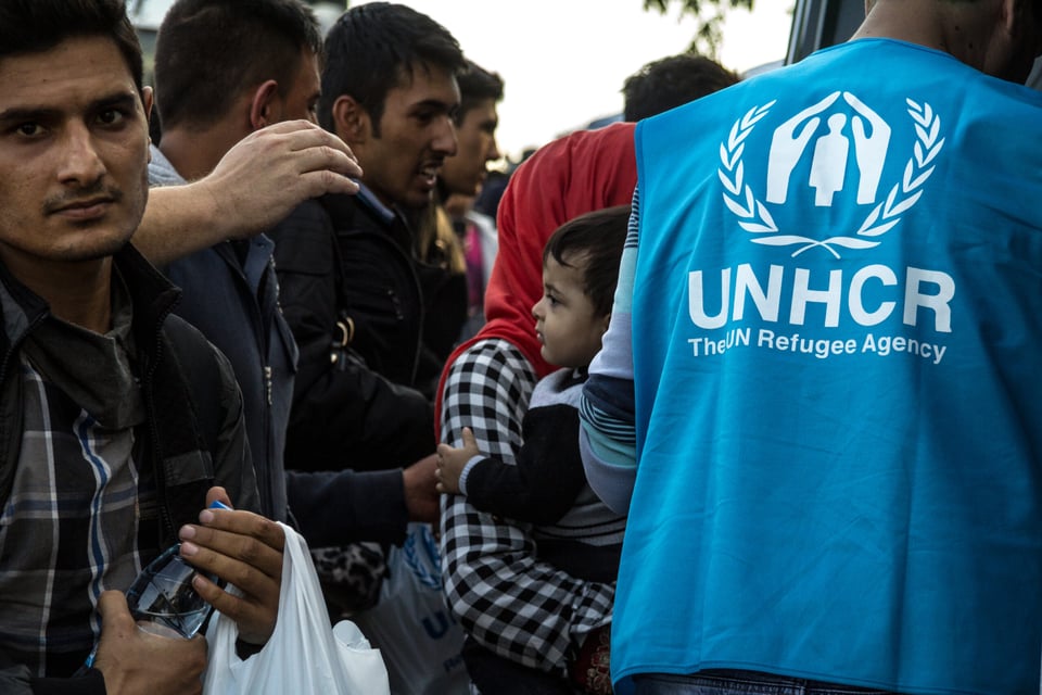 international refugee day
