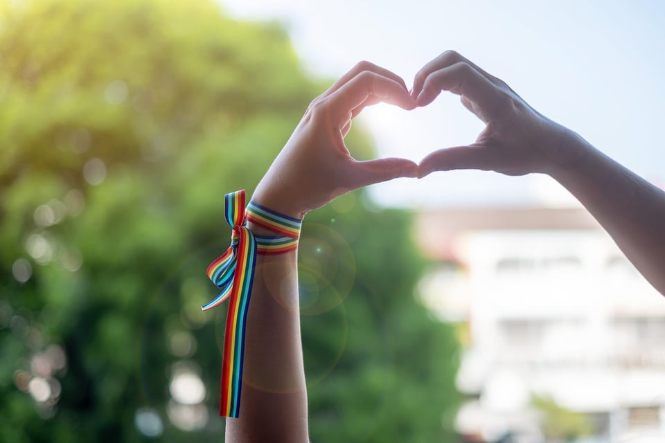 The word queer was previously an insult to the gender diverse community