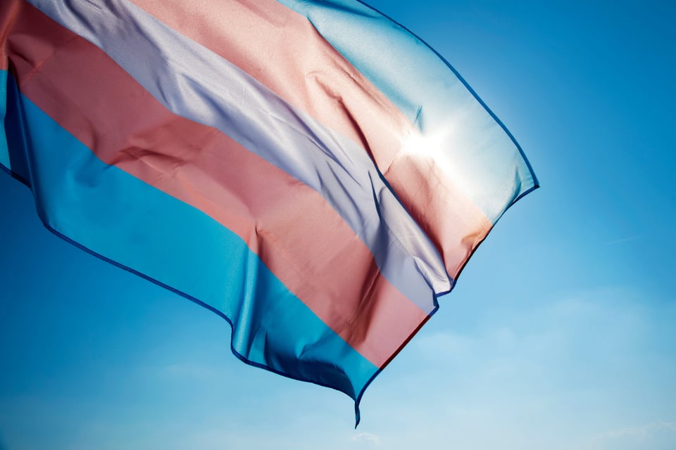Abogados, Representación, Intervención, Personas Trans, Corte