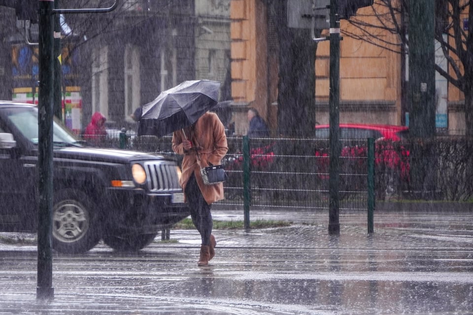 Forecast, rain, humidity, climate, MundoNOW