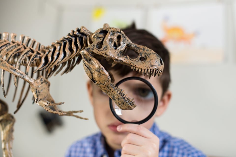 boy playing with dinosaur