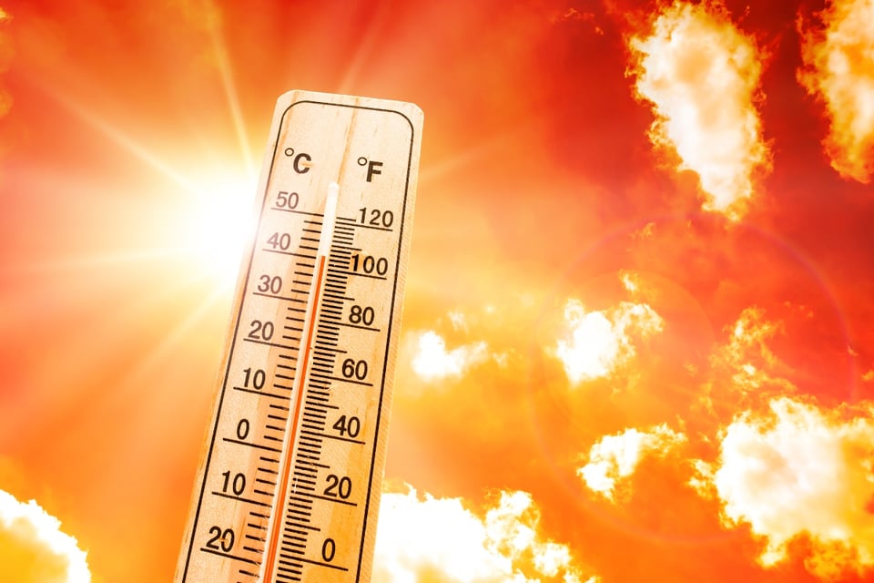 Calor extremo y su impacto en todo el mundo