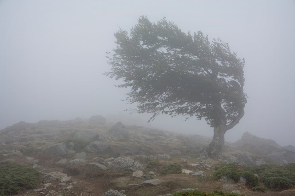 Señalan que ciudades se verán más afectadas por el clima severo