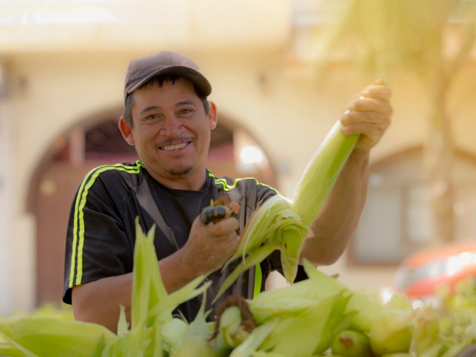 Jornalero, maíz, trabajador, campo, pisca, DFAP