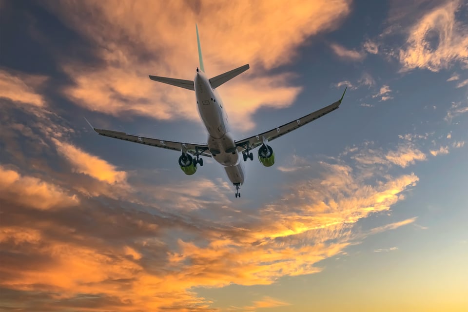 Emprendieron vuelo de nuevo