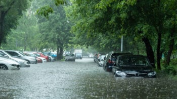Se insta que habitantes de Florida tomen sus precauciones