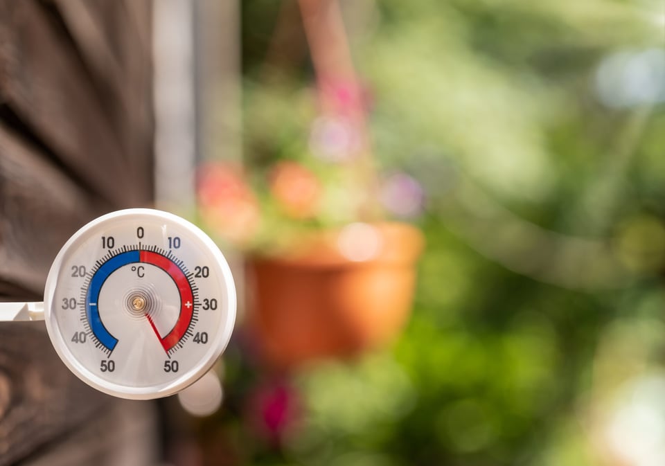 Mexicanos mueren dentro de coche: Querían escapar del calor