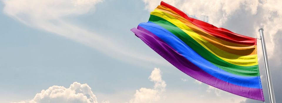 Homofobia y transfobia