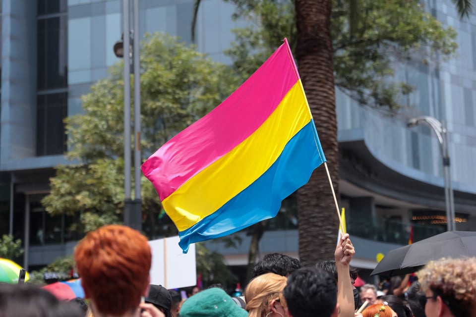 mitos de la pansexualidad