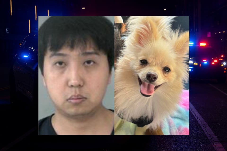 pomerania, perro, maltrato, arresto, mundonow