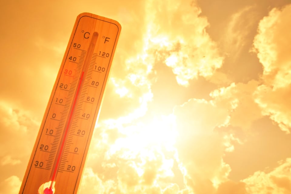 California sets world record heat, USA, Climate, MundoNOW