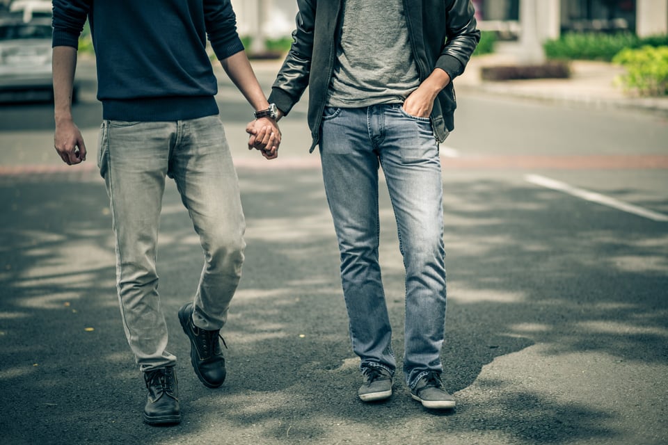 Pareja homosexual Pareja homosexual