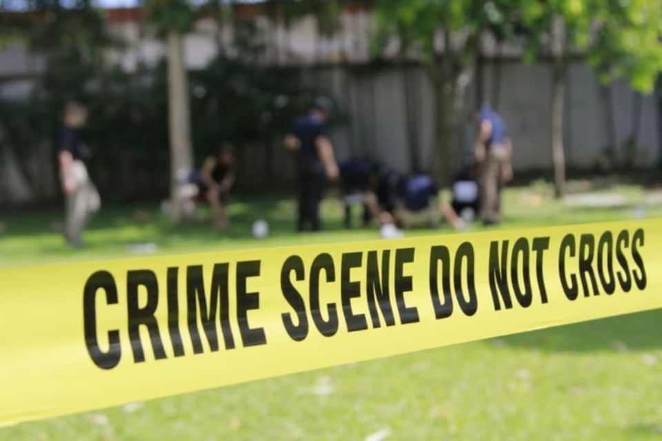 ¿Cómo los asesinó?
