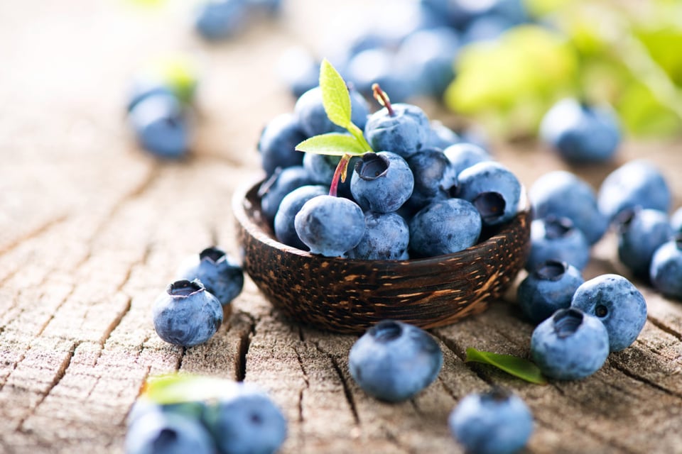Blueberries, food, healthy food, immunity diet, nutrition
