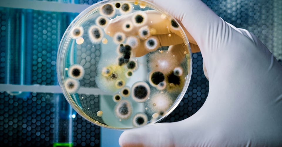 Un tipo de manchas que podrían causar infección